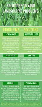 How to get rid of water bugs. Blog Bug Out Pest Control In Mid Missouri