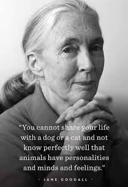 This is for a wonderful woman, Gayle 🖤🐾