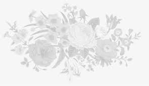 Maybe you would like to learn more about one of these? White Flowers Png Images Free Transparent White Flowers Download Kindpng