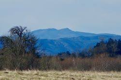 It's only about a 30 minute walk south on highway 219 from downtown hillsboro to the jackson bottom wetlands. Jackson Bottom Loop Hike Hiking In Portland Oregon And Washington