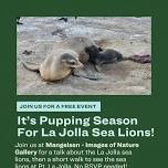 Sea Lion Talk & Walk