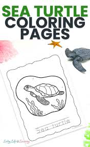 The combination of the mandala pattern and the turtle silhouette makes these adult. Sea Turtle Coloring Pages