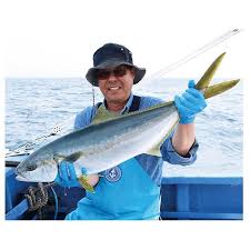ヒラマサ疾走 マダイ連発 外房カモシ釣りがおもしろい 釣り ヒラマサ マダイ