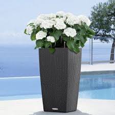 These pots are available in 3 different sizes: Buy Garden Flower Plant Pots Planters Online From Getpotted