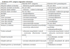 Procesul inflamator apendicular acut debutează cu congestie și edem, și poate evolua până la gangrenă, cu perforație și peritonită localizată sau generalizată, sau poate evolua spre cronicizare, după remiterea sub tratament sistemul nervos. LecÈie DemonstrativÄ Anatomie Si Fiziologie UmanÄ GeneticÄ Si Ecologie UmanÄ Clasele A Xi A Si A Xii A Easybe