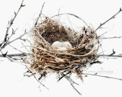 Birds That Make Mud Nests On Walls Bird Nest With Eggs Print Rustic Wall Art Neutral Tone Modern Farmhouse Bedroom Decor Nature Art Nursery Prints Resting Place With Images Rustic Wall Art Nest Art Bird Nests Art