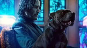 John wick is a mob hit man who upon falling in love with a woman would quit. What We D Love To See In John Wick Chapter 4
