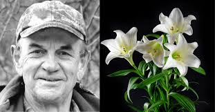 Modine Manufacturing Archives