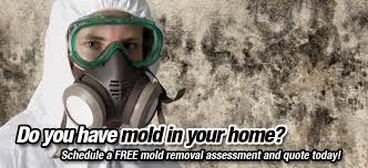 Free mold inspection near me. Kanata Mold Inspection And Removal Services Mold Removal Ottawa
