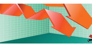 Seizure of Khapra beetle-infested cumin in US may bring exports down