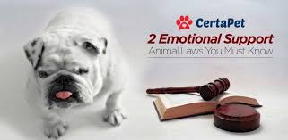 2 Ironclad Emotional Support Animal Laws Must Read Emotional Support Animal Animal Law Support Animal