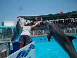 Kids Travel Kids Activities Family Fun Hotel Reviews Miramar Beach Florida Vacation Florida Water Parks
