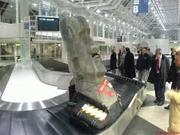 And I Can T Bring A Bottle Of Shampoo On The Plane Funny Pictures Funny Haha Funny