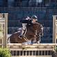 Pony Spectacular — Tryon International