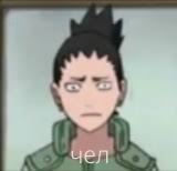 Вы можете начать загрузку дополнения! 2025