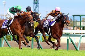 62,445 likes · 884 talking about this. 2020å¹´ é«˜æ¾å®®è¨˜å¿µ Jra