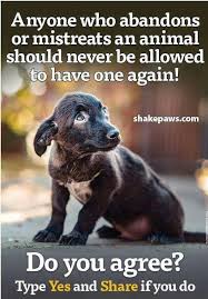 Agreed It S Not Right To Mistreat An Animal People Shouldn T Own Nor Get One If They Re Not Going To Treat It Like Family Dogs Save Animals Dog Quotes