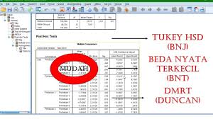 Tutorial Cara Membaca Data Spss Dan Menentukan Uji Tukey Hsd Bnj Bnt Atau Duncann Youtube