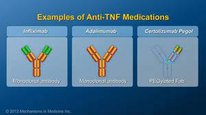 Examples Of Anti Tnf Medications Used In Ibd Include Infliximab Adalimumab And Certolizumab Pego Chronic Inflammation Inflammation Inflammatory Bowel Disease