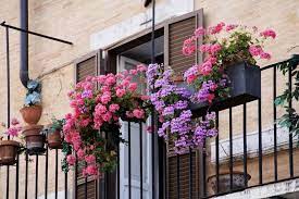 The best plants for apartment balcony privacy are climbers and vines, as well as tall shrubs. 11 Small Apartment Balcony Ideas With Pictures Balcony Garden Web