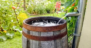The rain wizard 50 diverter kit features a 50 gallon rain wizard 50 and a plastic downspout diverter. How To Choose A Rain Barrel For Your Backyard