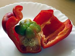 You can grow sweet peppers in a greenhouse or outdoors in a very warm, sheltered, sunny spot (at the base of a wall for instance). Pepper With Baby Pepper Inside Why Is There A Pepper In My Pepper