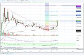 Verge Xvg Incredible Bounce Take Off Long Term Targets