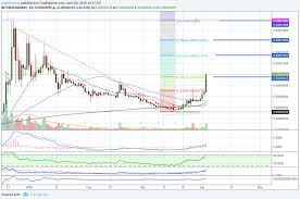 verge xvg incredible bounce take off long term targets