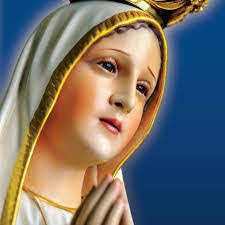 Michael Konar's Instagram, Twitter & Facebook