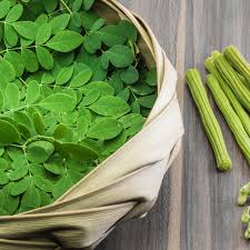 Nah, kali ini kita coba, yuk, buat bubur mpasi daun kelor dan puyuh 6m+. 10 Manfaat Daun Kelor Dan Resep Masakan Yang Mampu Mencegah Kanker Lifestyle Fimela Com