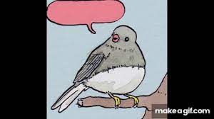 Annoyed Bird Meme Template Singing Crow On Make A Gif