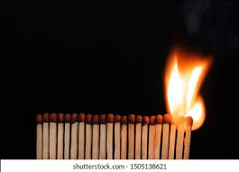 نتیجه جستجوی لغت [inevitability] در گوگل