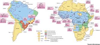 Chronicles the yellow fever epidemic of 1973, which centered in philadelphia. Yellow Fever Virus Knowledge Gaps Impeding The Fight Against An Old Foe Sciencedirect