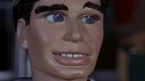 Sweet Teddy Pepper Paw