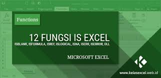 12 Fungsi Is Isna Isblank Iserror Istext Dll Pada Microsoft Excel Microsoft Excel Angka Acak Teks