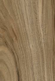 Placages Et Filets Gauthey Placage Bois Naturel Placage Bois Bois Bois Naturel
