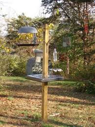 Diy Bird Feeder Pole System Squirrel Baffle Doubles As A Feeding Platform Great Idea Homemade Bird Feeders Squirrel Proof Bird Feeders Bird Feeders