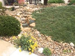 Accent plants are commonly planted alone or in groups of three and provide seasonal interest at different times of the year. Portfolio Rainwater Harvesting Front Yard