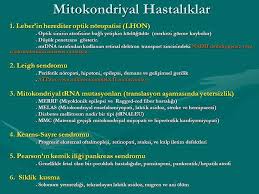 Mitokondri Hastaliklari Metabolizma Epilepsi Yaslanma