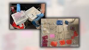 Raid halts deadly narcotics pipeline from LA to South Florida, kilo of fentanyl seized