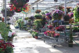 Drummers Garden Center Floral S Retail Greenhouse And Outdoor Display Area Is A Wonderful Place To Be On A Fine Spring Garden Center Garden Landscape Design