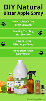 Bitter Apple Spray Dogs Homemade Stop Your Dog From Chewing On Wood Shoes And More Dogs Doghealth Dogdiy Ho Stop Dog Chewing Dog Chewing Spray Dog Spray