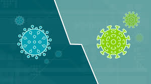 A blockage in the nasal passages caused by a polyp or a nasal fracture also is a common cause. Cold Flu Or Covid 19 Here S How To Tell The Difference