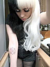 Bicolor Hair Tone Hair White Hair Color Half Dyed Hair