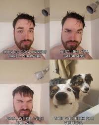Memes How We Shower Wattpad