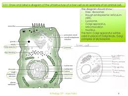Check spelling or type a new query. Unit 2 Cells 2 3 Eukariotic Cells Ib Biology Sfp Mark Polko Ppt Download