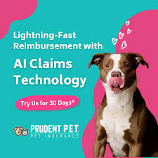 Prudent pet insurance offers custom insurance coverage for your dog or cat that covers up to 90% of veterinary costs. Prudent Pet Prudent Pet Twitter