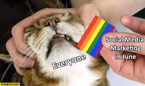 I like the stylized pansexuality flag (the one with the cool p on it, and yes i'm. Social Media Marketing In June Pride Month Vs Everyone Cat Does Not Want Rainbow Flag Starecat Com