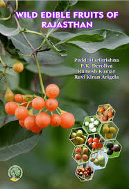 Image result for Toddalia crenulata