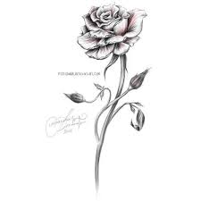 Black And White Beautiful Flower Rose Clip Art Beauty And The Beast Rose Liked On Polyvore Featuring Disney And Flowers Tattoos Black Rose Tattoos Rose Tattoos